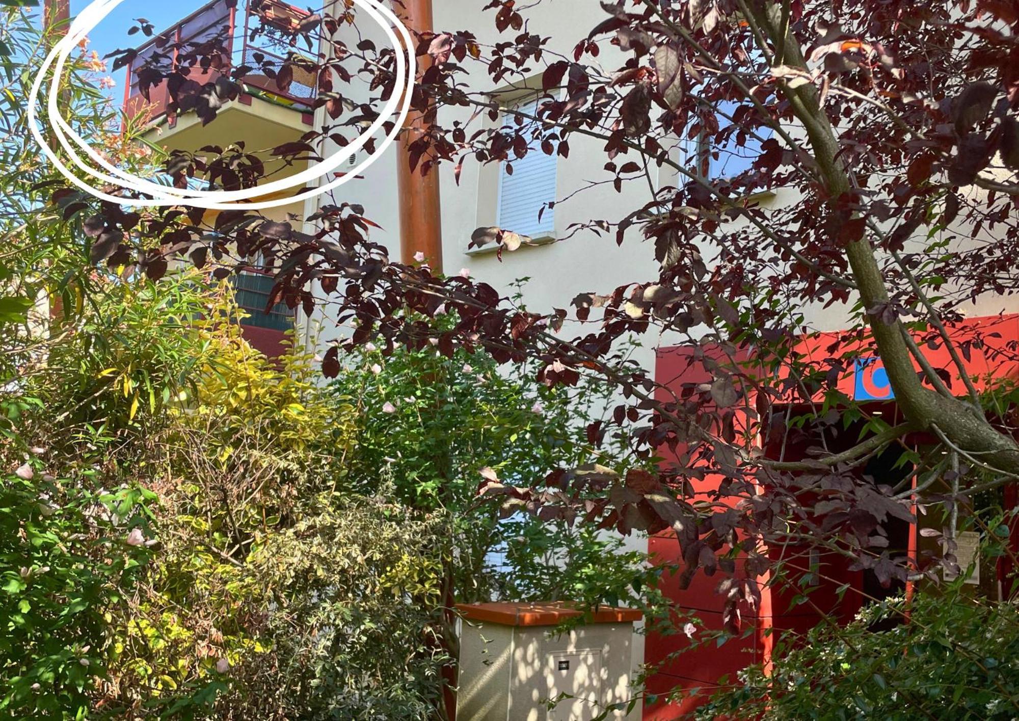 Le Jungle - Parking Et Wifi Gratuit - Balcon - Alexa Apartment Saint-Alban  ภายนอก รูปภาพ